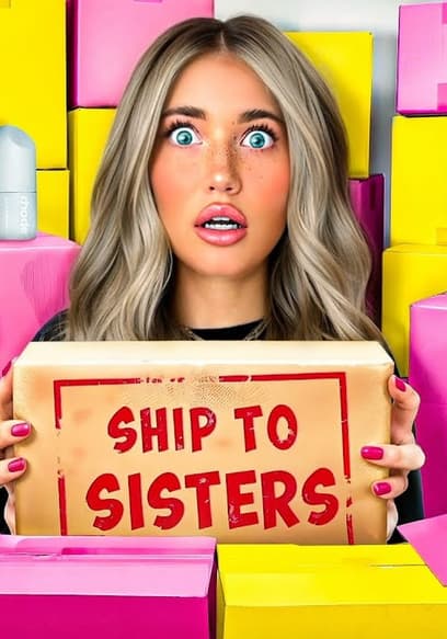 S04:E12 - Mystery Boxes for Sister's Birthday poster
