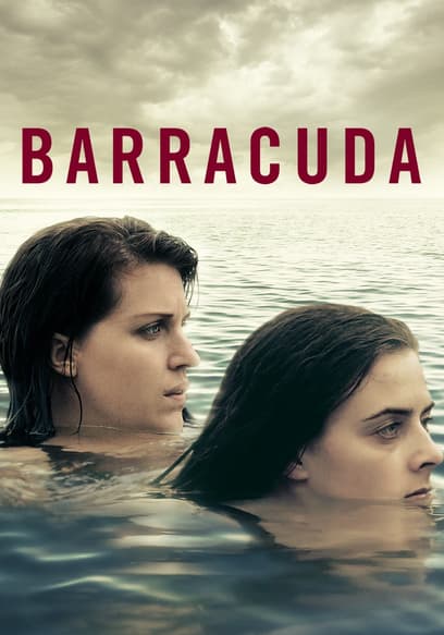 Barracuda