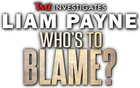 TMZ Investigates: Liam Payne: Who’s To Blame?