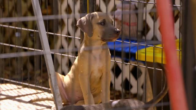 S18:E05 - Change on the Horizon