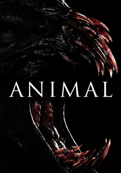 Animal (Doblado)