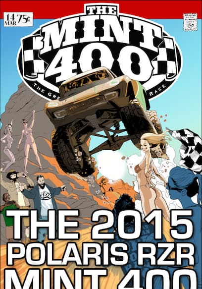 The 2015 Polaris RZR Mint 400