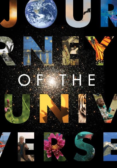 Journey of the Universe
