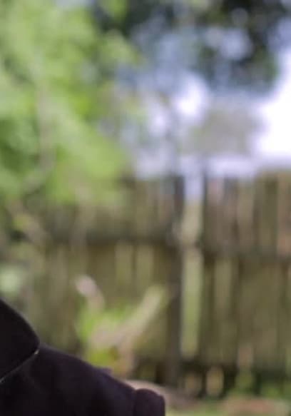 Affiche de S01:E12 - Not So Wild Dogs