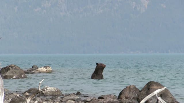 S08:E02 - Open Season