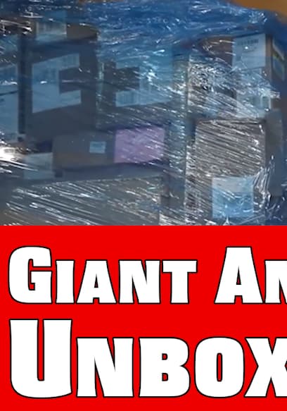S01:E18 - I Bought a GIANT Amazon Returns Pallet for CHEAP poster