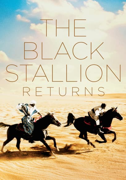 The Black Stallion Returns