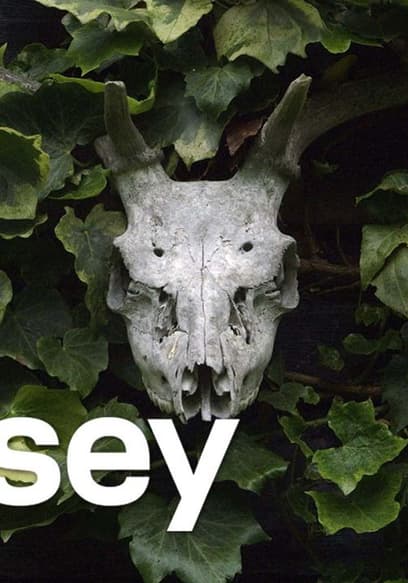 S02:E03 - Get Out of Your Own Way: Anarchy & Peace With Penny Rimbaud (Crass) poster