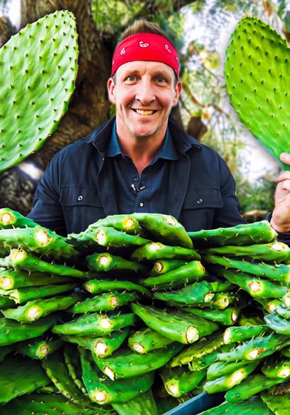 Póster de S01:E08 - Cactus Only Diet