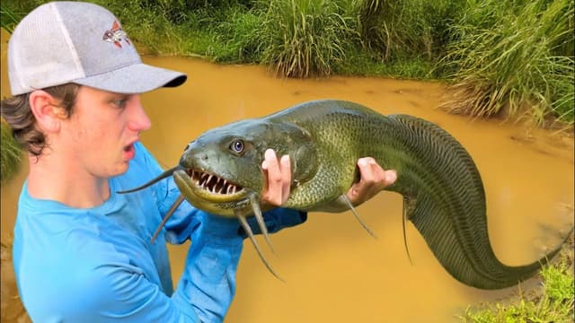 S03:E12 - I Found an Alien Fish in an Abandoned Pond!