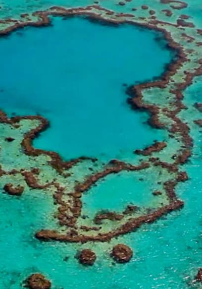 S01:E05 - Triple Tuna Tussle at the Great Barrier Reef poster