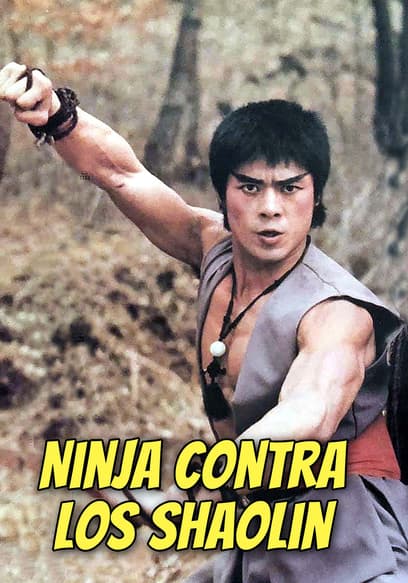 Ninja Contra Los Shaolin (Doblado)
