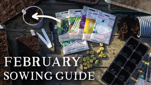 S01:E06 - What Crops to Sow This February and What to Avoid