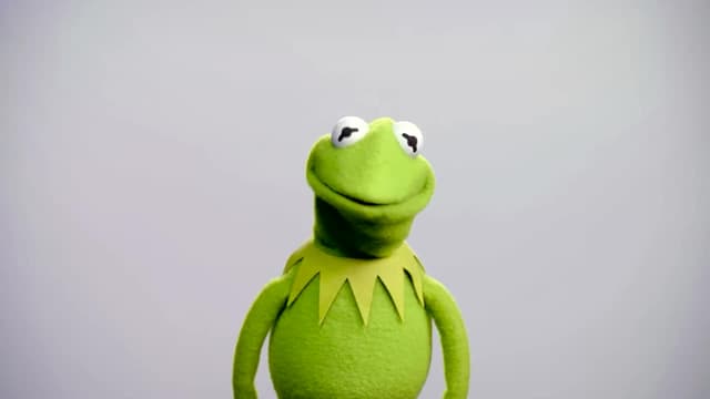 S05:E12 - Training Day / Punisher / Kermit the Frog