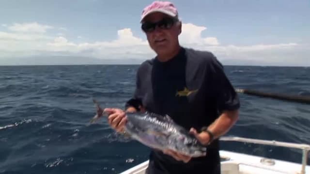 S01:E16 - The Great Baja Marlin Evasion
