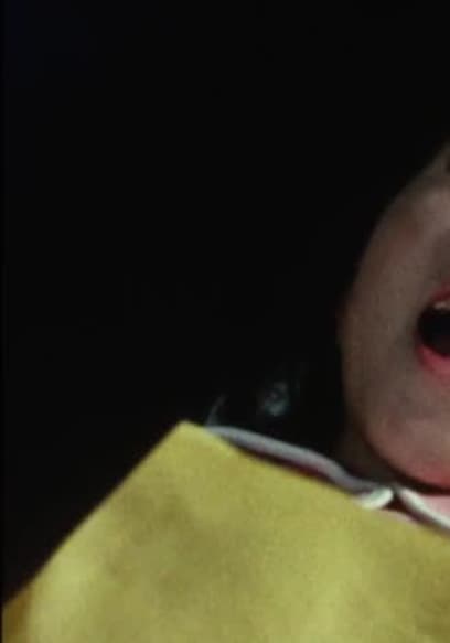 S01:E39 - Monster Wolf Man's Huge Murder Party poster