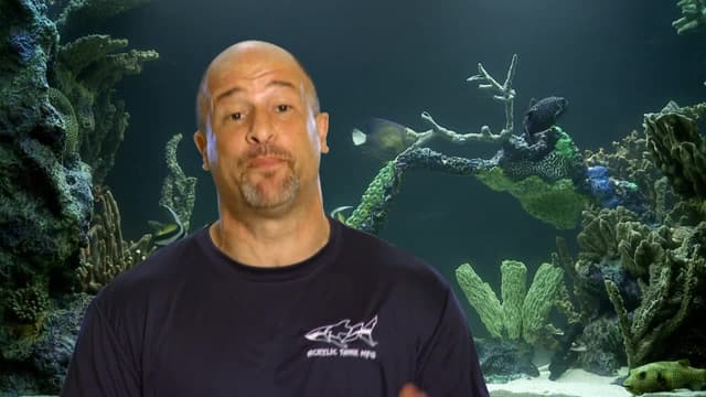 S03:E01 - We're Gonna Need a Bigger Tank