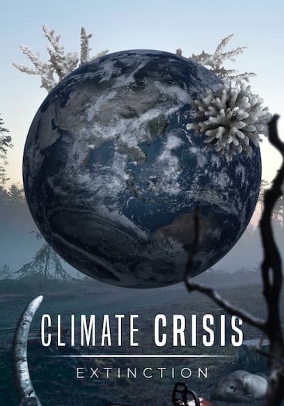 Climate Crisis: Extinction