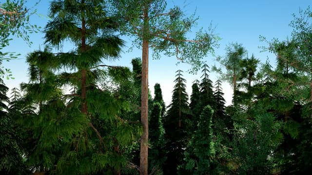 S01:E01 - Grande Prarie