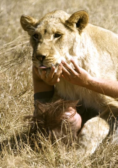 S01:E02 - Killers on the Savannah poster