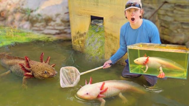 Bass Fishing Productions