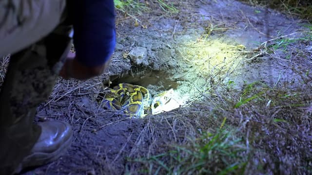 S03:E12 - Mad Woman Woods