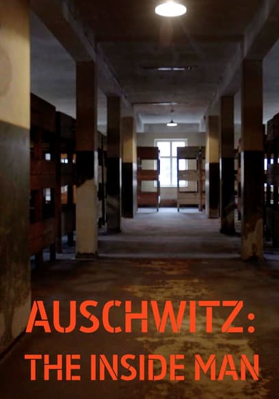 Auschwitz: The Inside Man poster