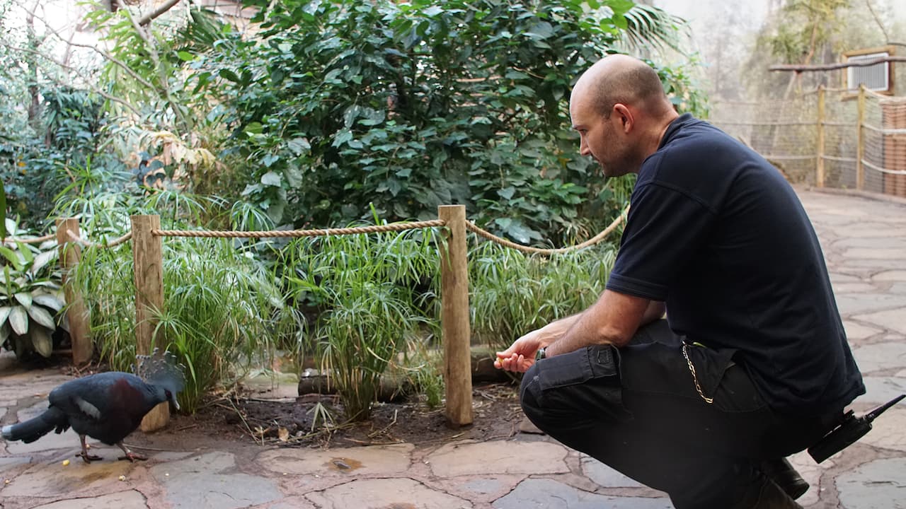 Watch Inside the Zoo