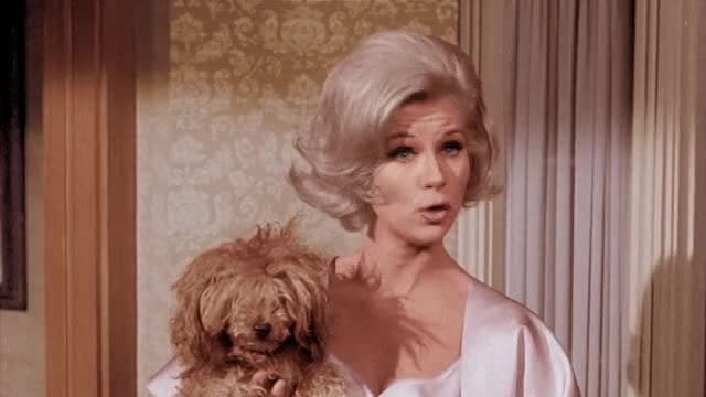S01:E03 - It Shouldn't Happen to a Dog
