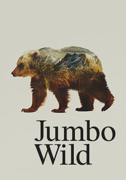 Jumbo Wild