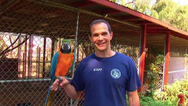 S01:E05 - Episode 9 & 10