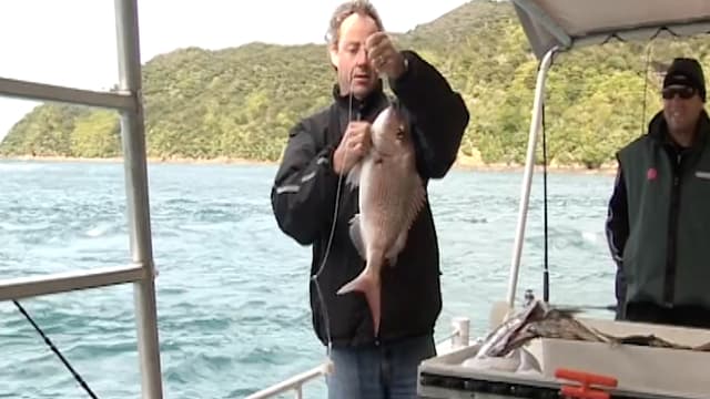 S01:É10 - S01:E10 - French Pass Snapper