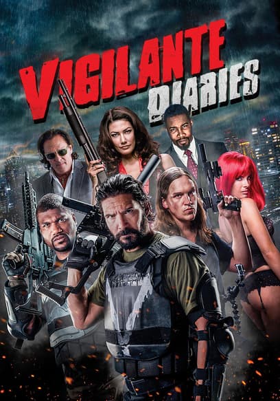 Vigilante Diaries poster