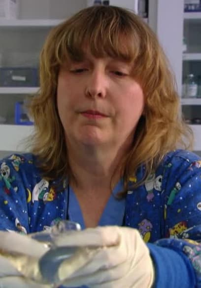 S01:E03 - Fungal Breast Implants / Yes, They're Fake poster