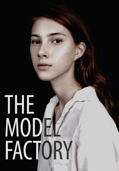 The Model Factory