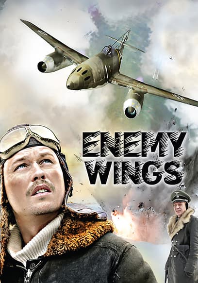 Enemy Wings