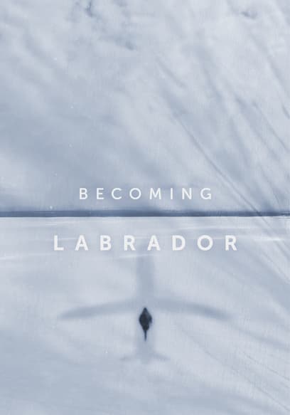 Becoming Labrador