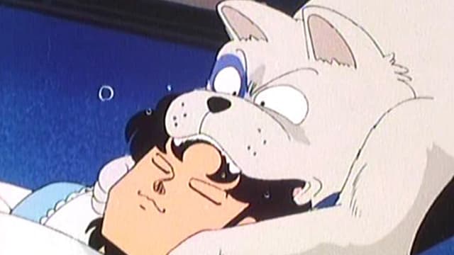 S01:E21 - Odd Dog Lassie's Lifesaving / Rei-Kun Is an Annoying Bug!