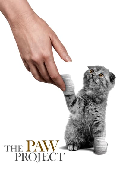 The Paw Project