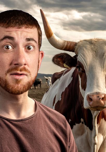 S03:E05 - Meeting the Cow Tribe of South Sudan (Bizarre Story) poster