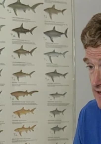 S01:E01 - Shark Encounters poster