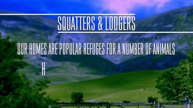 S01:E14 - Sorprendentes animales constructores (Pt. 2)