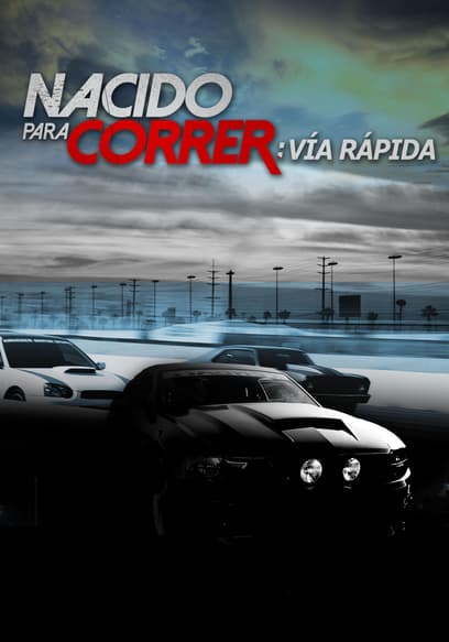 Nacido para correr: vía rápida (Doblado)