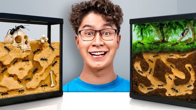 S01:E17 - Best Ant Colony Wins