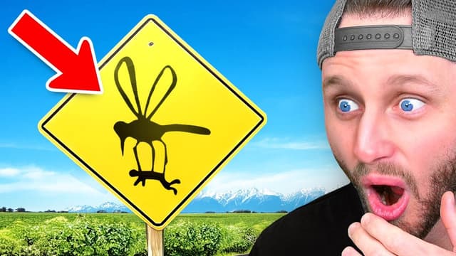 S01:E05 - Sign Fails and Fears