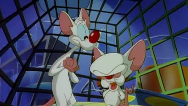 S05:E08 - Magic Time/The Brain's Apprentice