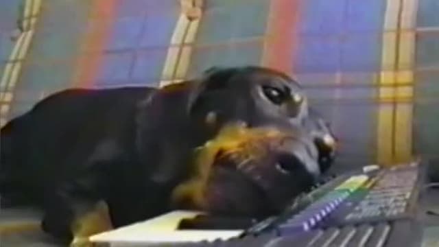 S01:E26 - Episode 26