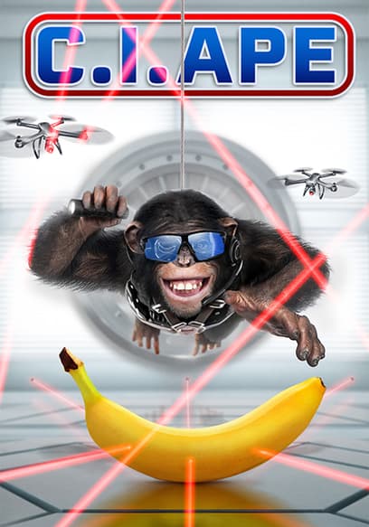 C.I.Ape