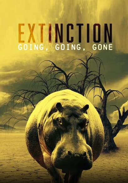 Extinction: Going, Going, Gone