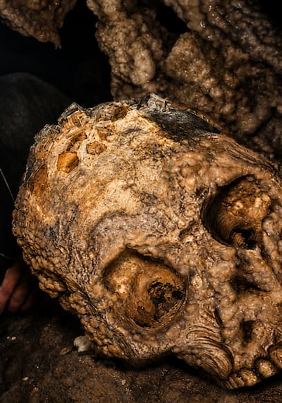S02:E04 - The Crystal Skull poster